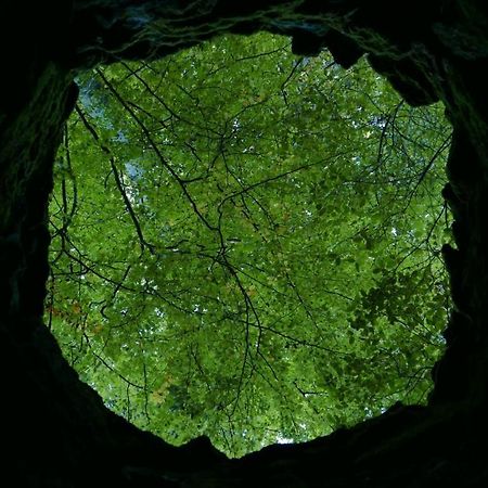 Espaço Origem Sintra Exterior foto